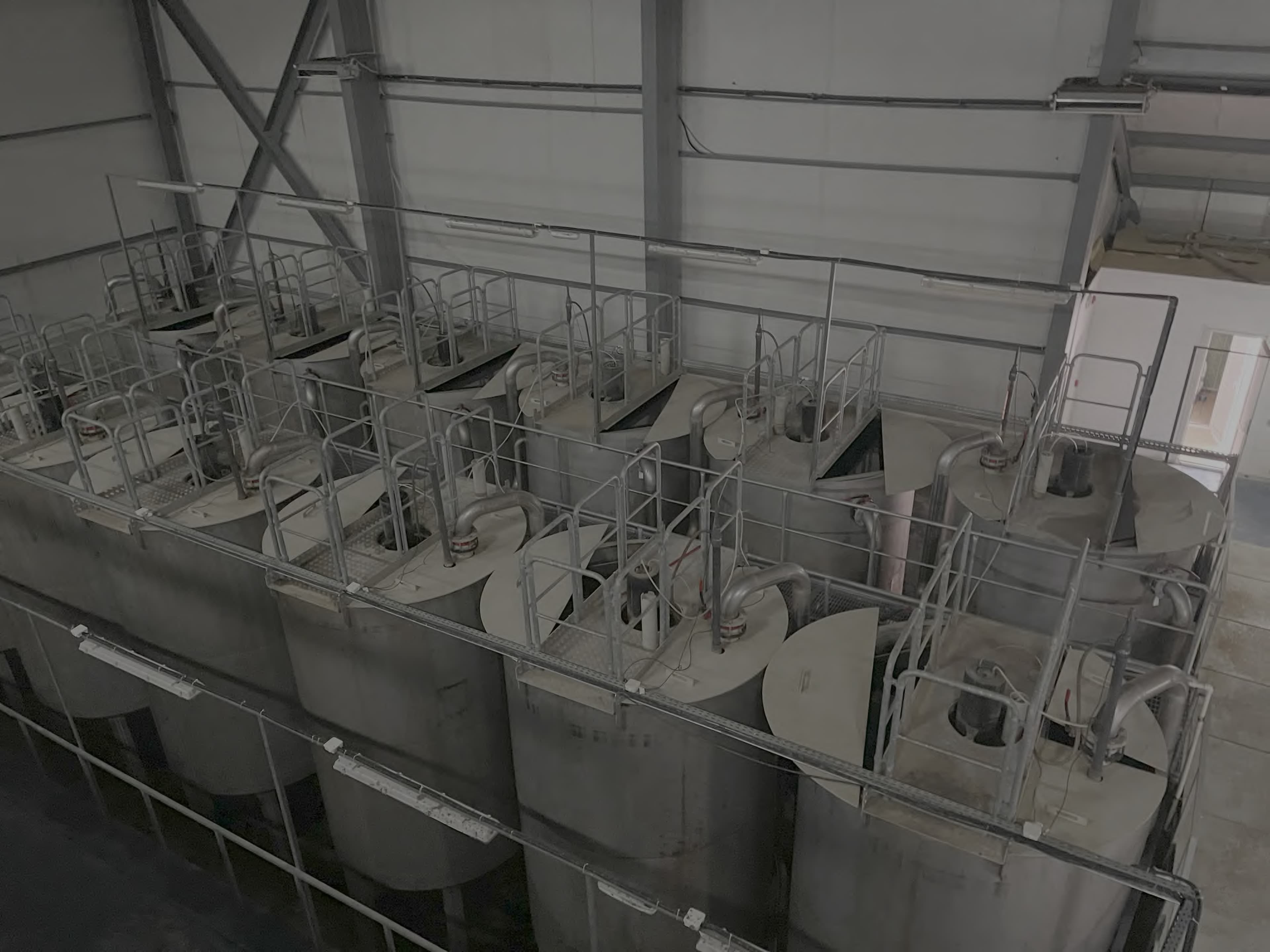 Borjomi Beverage Process Water